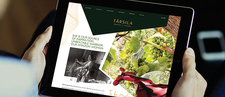 Website design development